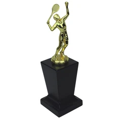 Чемпіонат з футболу Кубок з футболу